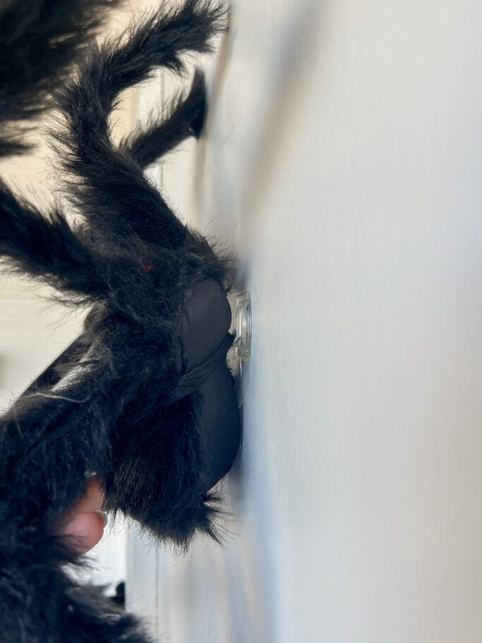 How To Hang Giant Halloween Spiders