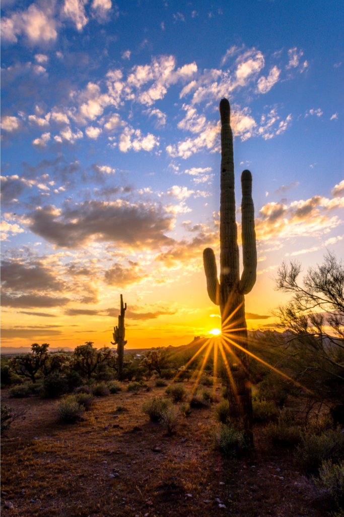 Hikes in the East Valley of Phoenix and What to Wear to Stay Cool!