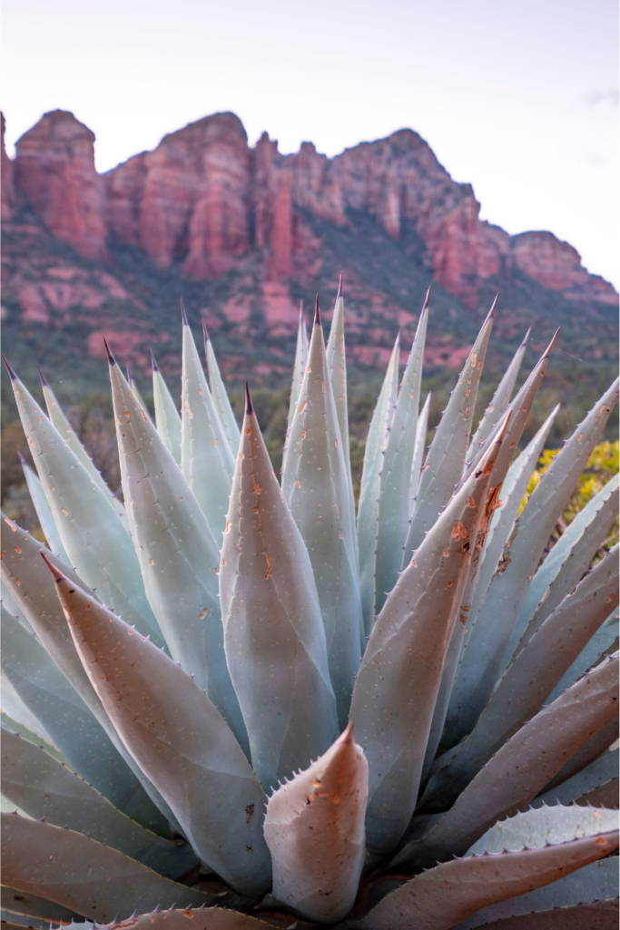 Hikes in the East Valley of Phoenix and What to Wear to Stay Cool!