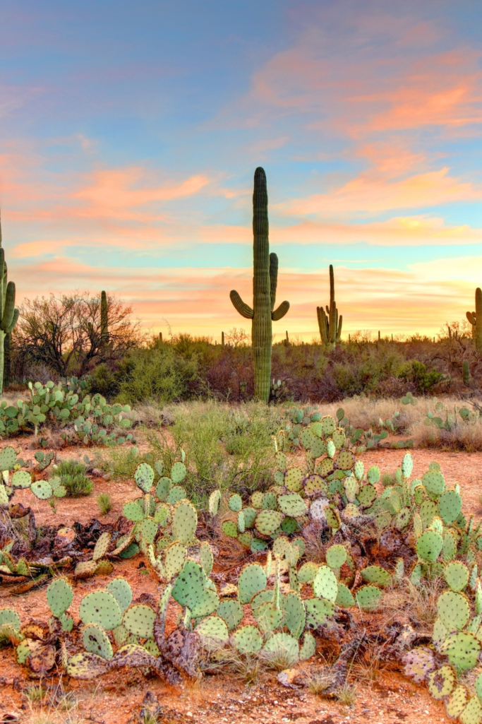 Hikes in the East Valley of Phoenix and What to Wear to Stay Cool!